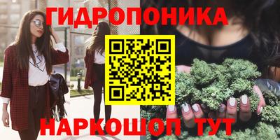 альфа пвп Новокубанск