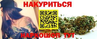 индика Новозыбков