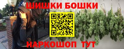 индика Новозыбков