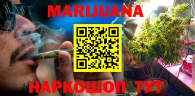 индика Новозыбков