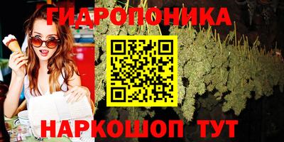 индика Новозыбков