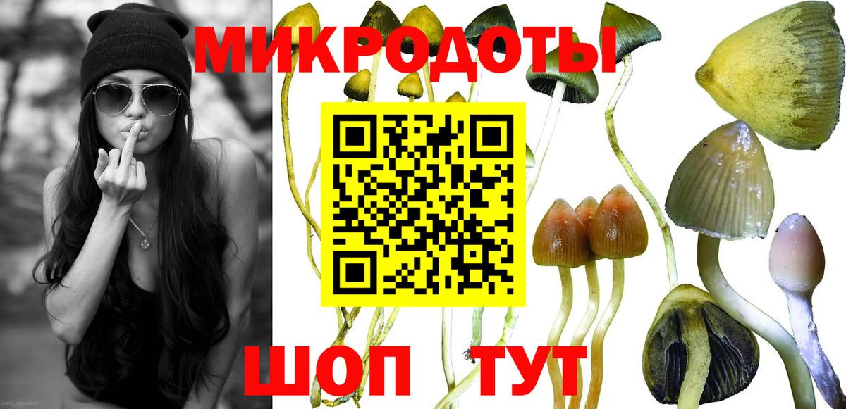 Псилоцибиновые грибы Psilocybine cubensis  Вход с VPN  Холмск  Псилоцибиновые грибы мухоморы 